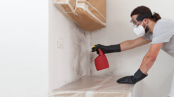 Professional Commercial Mold Remediation technician working in River Edge, NJ